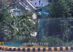 spacious lot for sale in mckinley hill village