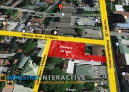 commercial/warehousing lot in muntinlupa city