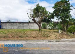 spacious lot for sale in ayala southvale sonera