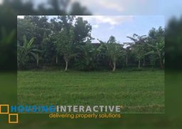 spacious lot for sale in nuvali