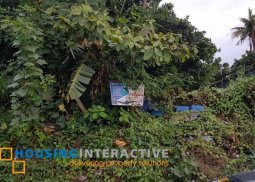 vacant lot for sale in kalentong