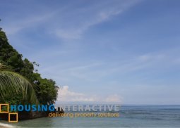 beach front for sale in lian, batangas