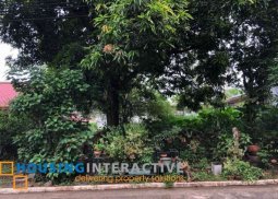 vacant lot for sale in ayala heights