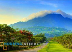 spacious lot for sale in ayala greenfields estate