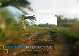 lot for sale in village east cainta rizal
