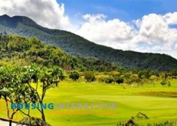 lot for sale in ayala greenfield estates