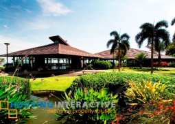 vacant lot for sale in ayala greenfield estates