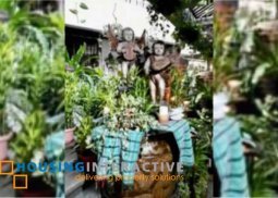 semi-furnished 4-bedroom classical house for sale in valle verde 4