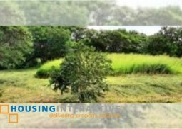 lot for sale in ayala greenfield estates