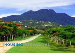 spacious lot for sale in ayala greenfield estates