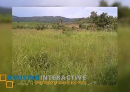3 hectares of vacant lot for sale in palawan