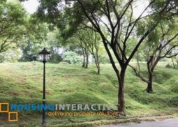spacious lot for sale in ayala westgrove heights