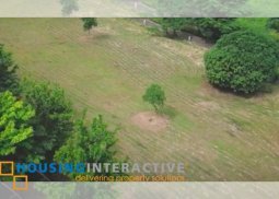 lot for sale in abrio, nuvali