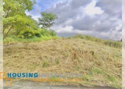lot for sale in parkridge estates