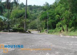 vacant lot for sale in parkridge estates