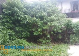 lot for sale in cubao