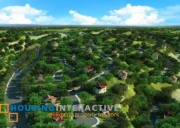 lot for sale in ayala westgrove heights