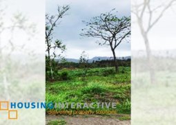 spacious lot for sale in riomonte