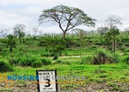 residential lot for sale in riomonte