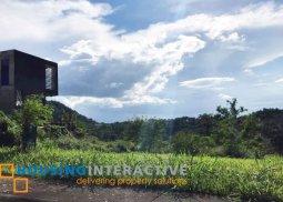 vacant lot for sale in ayala greenfield estates