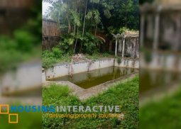 lot for sale with old house in ayala alabang