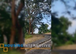 lot for sale in terrezas de punta fuego