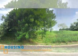 residential lot for sale in ayala westgrove heights