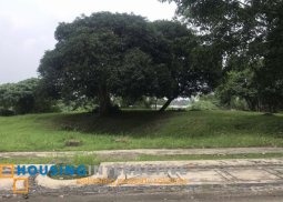 lot for sale in ayala westgrove heights cavite
