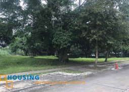 lot for sale in ayala westgrove heights cavite