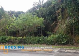 lot for sale in ayala westgrove heights cavite
