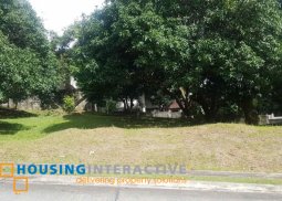 lot for sale in ayala westgrove heights cavite