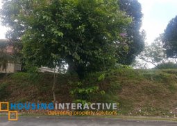 lot for sale in ayala westgrove heights cavite