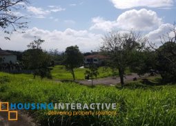 lot for sale in ayala westgrove heights cavite