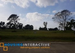 lot for sale in ayala westgrove heights cavite