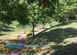 lot for sale in ayala westgrove heights cavite