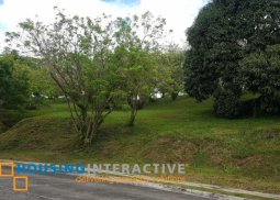 lot for sale in ayala westgrove heights cavite