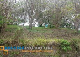 lot for sale in ayala westgrove heights cavite