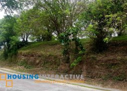 lot for sale in ayala westgrove heights cavite
