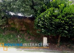 lot for sale in ayala westgrove heights cavite