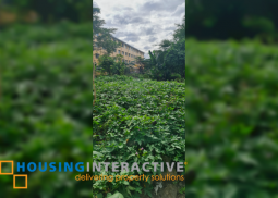 spacious semi-commercial lot for sale in quezon city