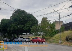 spacious residential lot for sale in ayala alabang village