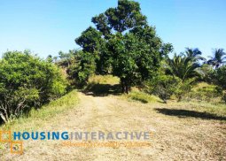 spacious farm lot for sale in tanay
