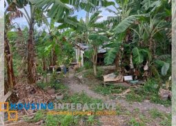 spacious residential lot for sale in bf international