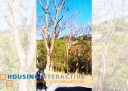 spacious lot for sale in terrazas de punta fuego