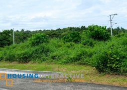 residential lot for sale at playa laiya
