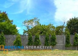 spacious lot for sale in alabang west