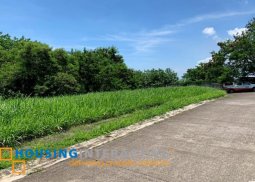 lot for sale in ayala greenfield estates laguna