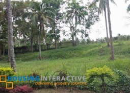 residential farm lot in tierra maria estates batangas