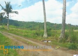 lot for sale in tagaytay