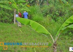 lot for sale tagaytay